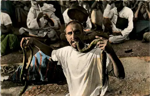Algerien sonstige, Charmeur de Serpents -363188