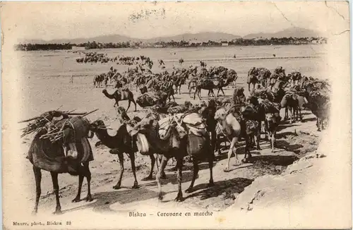 Biskra, Caravane en marche -363308