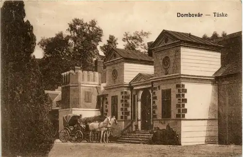 Dombovar - Tüske -463892