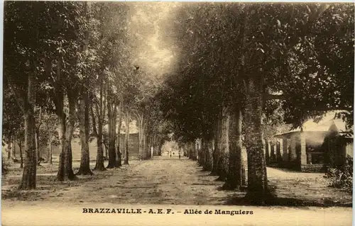 Brazzaville - Allee de Manguiers -444100