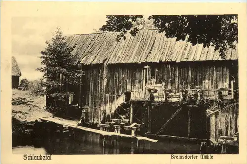 Schlaubetal - Bremsdorfer Mühle -464516