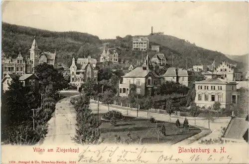 Blankenburg - Villen am Ziegenkopf -464576