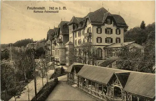 Freudenstadt - Kurhaus Palmenwald -464618