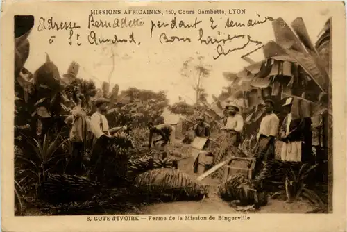 Cote d Ivoire - Ferme de la Mission de Bingerville -444720