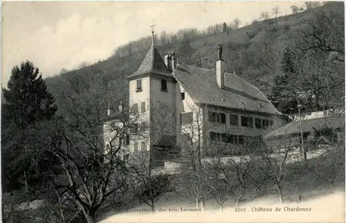 Chateau de Chardonne -466020