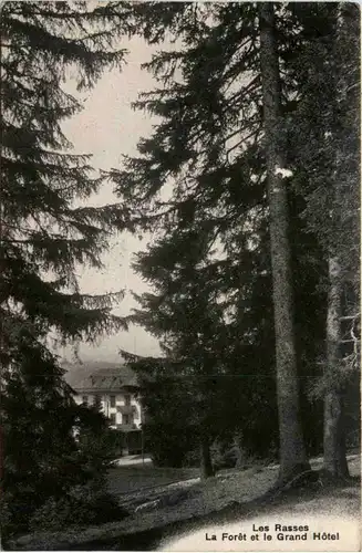 Les Rasses - La Foret et le Grand Hotel -465710