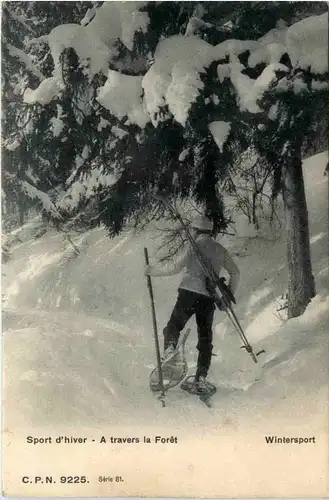 Wintersport - A travers la Foret -465926