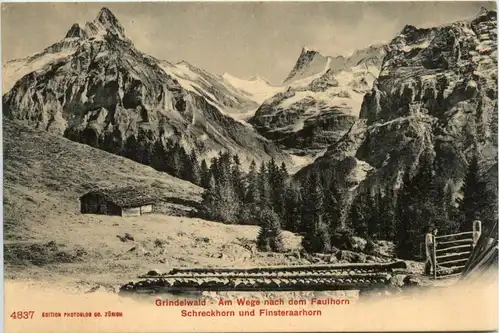 Grindelwald - Am Wege nach Faulhorn -465946