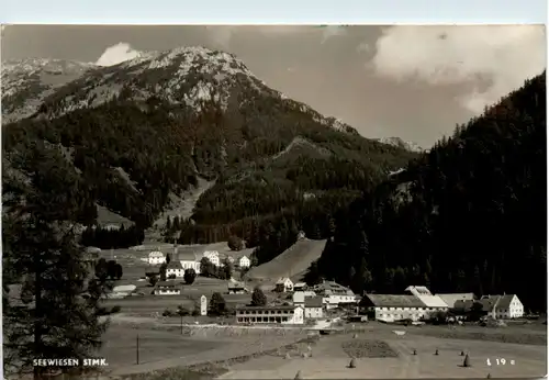 Seewiesen -465850