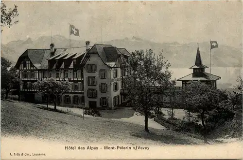 Mont Pelerin sur Vevey - Hotel des Alpes -466096