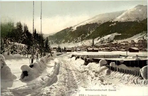 Davos - Winterlandschaft -465732
