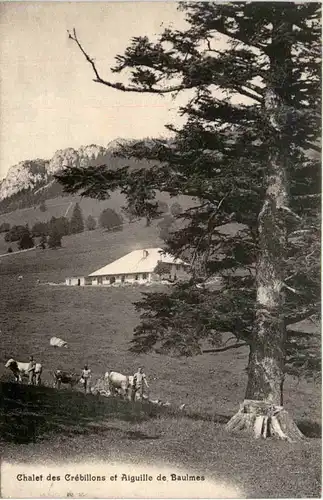 Chalet des Crebillons et Aiguille de Baulmes -465698