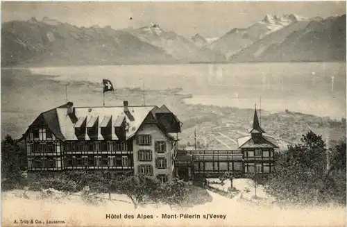 Mont-Pelerin sur Vevey - Hotel des Alpes -466012