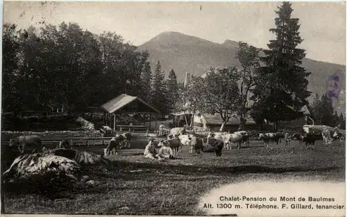 Chalet Pension du Mont de Baulmes -465674