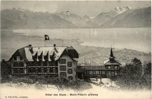 Mont Pelerin sur Vevey - Hotel des Alpes -466092