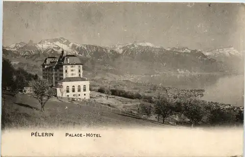 Mont Pelerin sur Vevey - Palace Hotel -466094