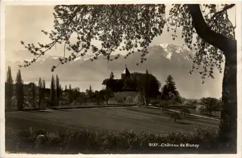 Chateau de Blonay -466416