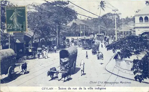 Ceylon -446314