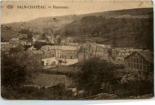 Salm Chateau -465388