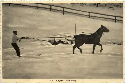 Leysin - Skijöring -467374