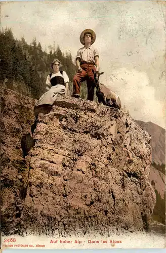 Auf hoher Alp - Ziege -467200
