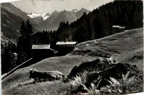 Klosters - Sommermorgen bei der Schwendi -465828