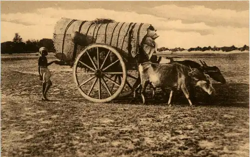 India - Inlandsche kar -447372