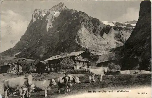 Wetterhorn - Grindelwald -465928