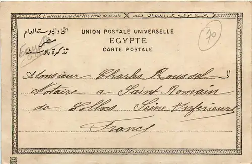 Alexandria - Allee Colonne Pmpee -432636