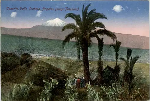 Tenerife - Valle Orotova Nopales -468498