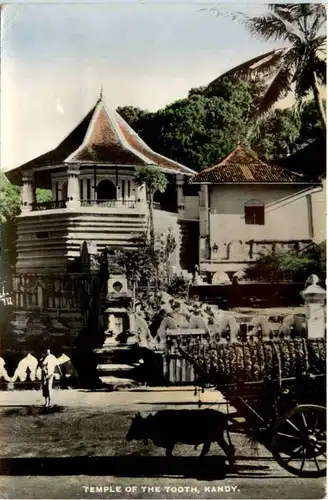 Kandy - Temple of the Tooth -468314