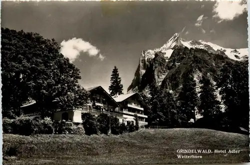 Grindelwald - Hotel Adler -448094