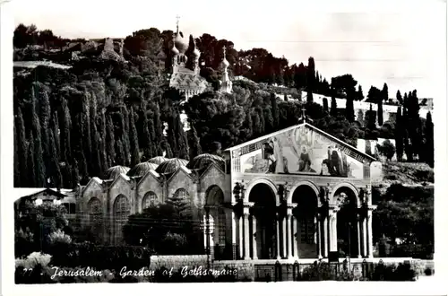 Jerusalem - Garden of Gethsemane -469138