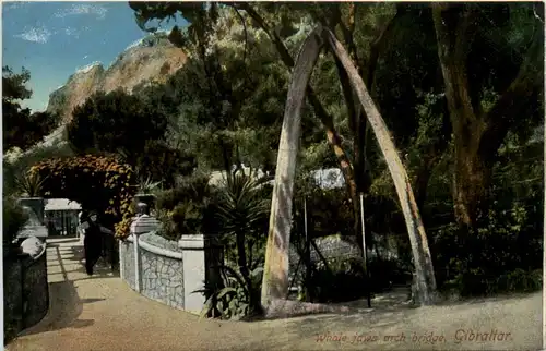 Gibraltar - Whale jaws arch bridge -469008