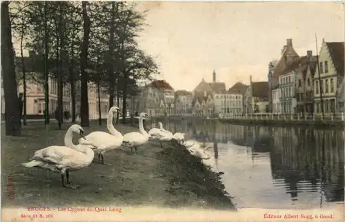 Bruges - Les Cygnes du Quai Long -469048