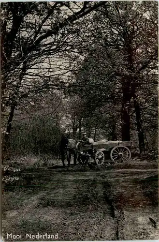 Mooi Nederland -469194