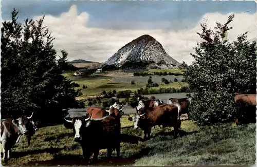 Le gerbier de Jonc -364854