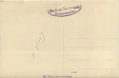 Tannenstein bei Spindelmühle -469376