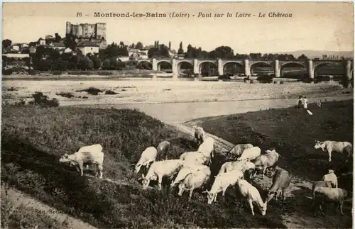 Montrond-les-Bains, Pont sur la Loire - le Chateau -365314