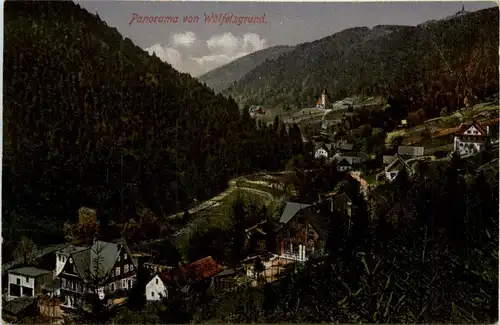 Panorama von Wölfelsgrund -359336