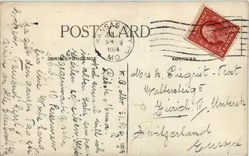 Katze - Cat- Watching for you -472302