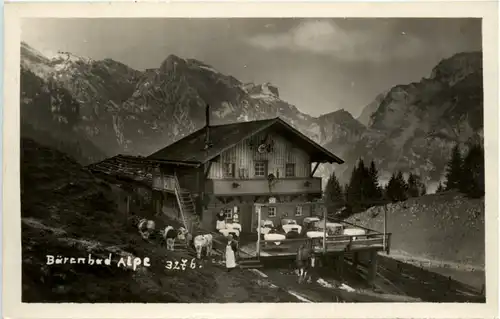 Bärenbad Alpe am Achensee -470936