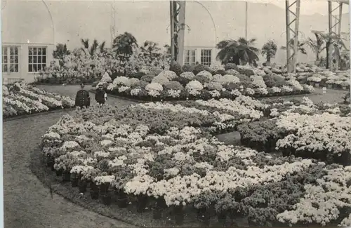 Gand - Exposition 1913 -471798