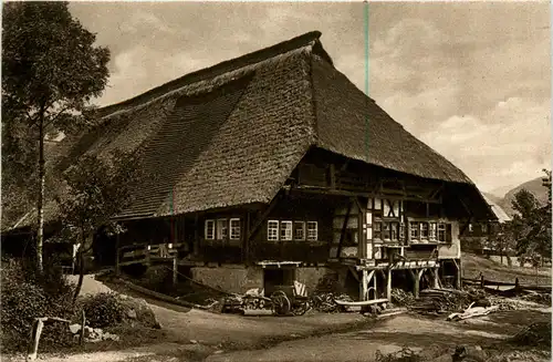 Ältestes Haus in Gutach, Schwarzwald -360330