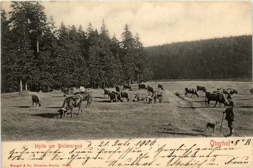 Oberhof - Idylle am Waldesrand -471938