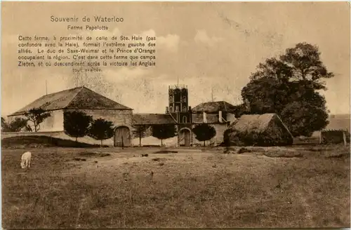 Souvenir de Waterloo -471620