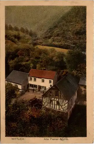 Wittlich, Alte Pleiner-Mühle -360408