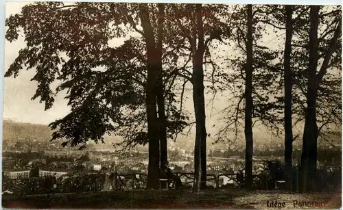Liege - Panorama -471714