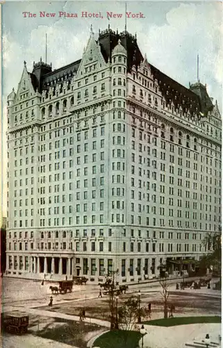 New York - Plaza Hotel -470230