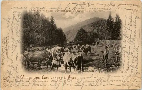 Gruss aus Lauterberg im Harz - Forsthaus Kupferhütte -472198